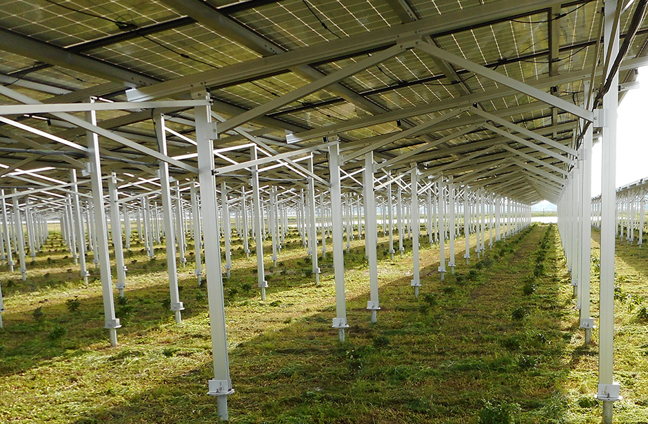 This is a system to share sunlight between crop fields and solar panels