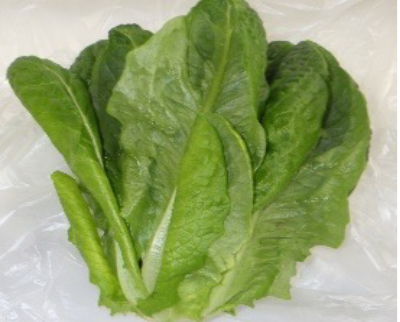 Romaine lettuce